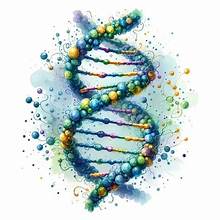 GX SLIM WEIGHT MANAGEMENT DNA TEST